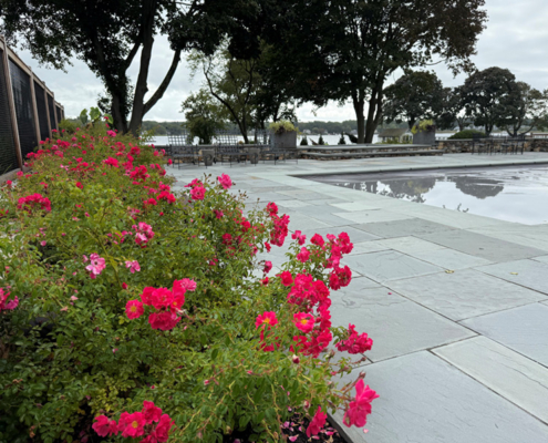 Barrington, RI - poolside plantings