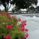 Barrington, RI - poolside plantings